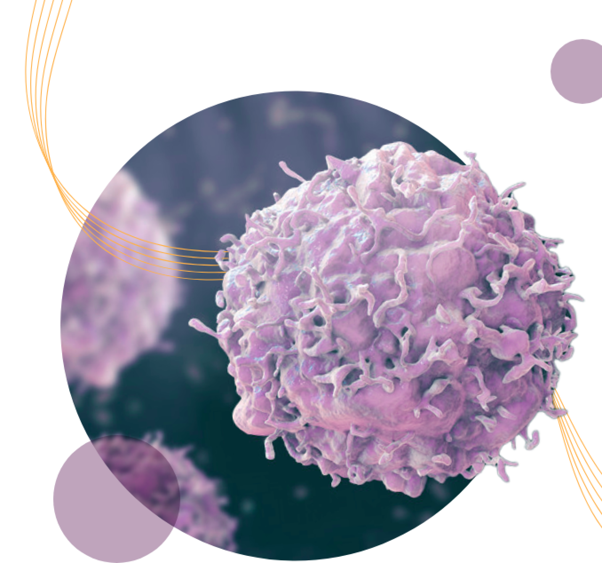 5 parallel orange lines winding through circle containing up-close view of a cancer cell. Two small purple circles surround the main photo.