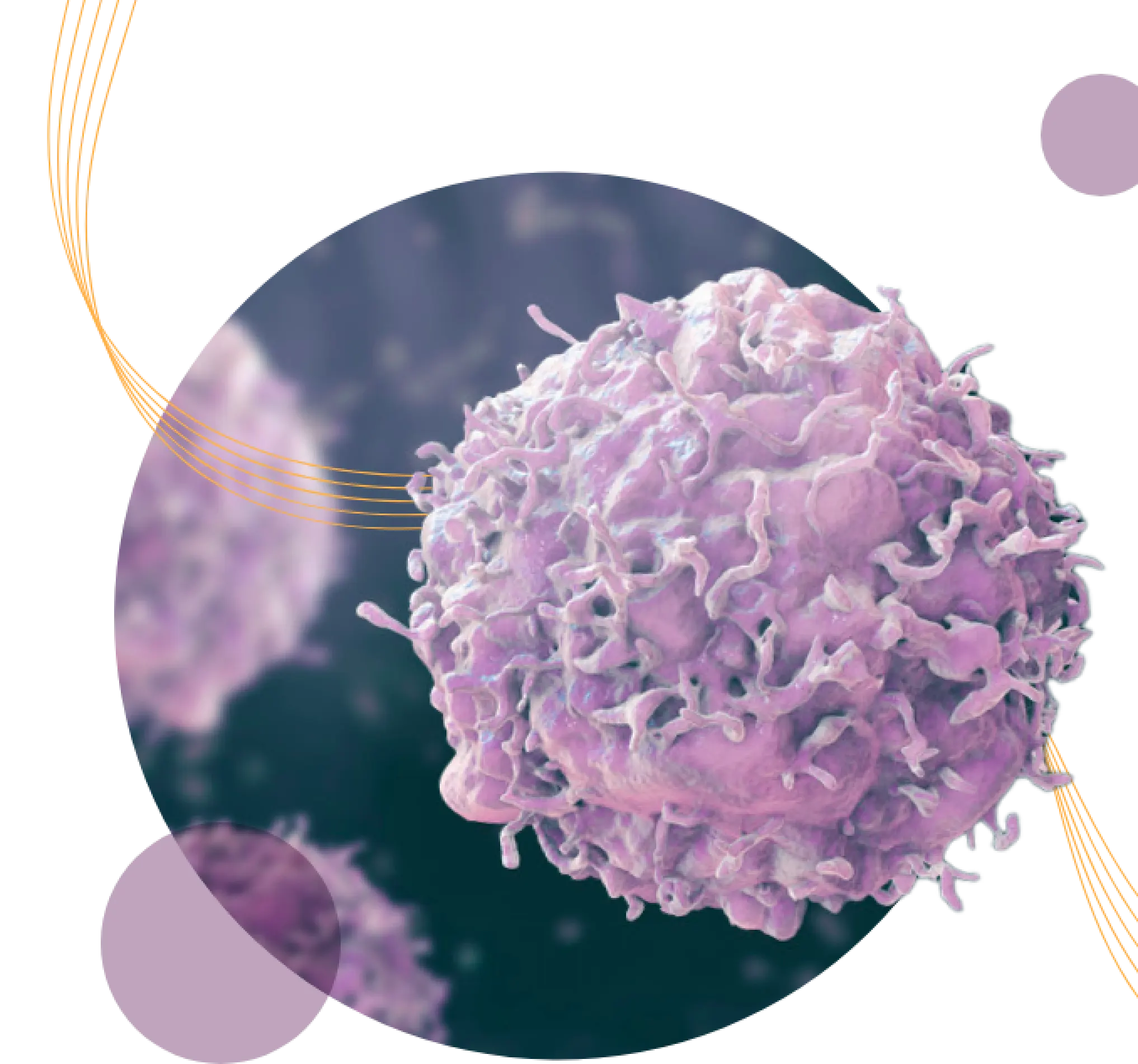 5 parallel orange lines winding through circle containing up-close view of a cancer cell. Two small purple circles surround the main photo.