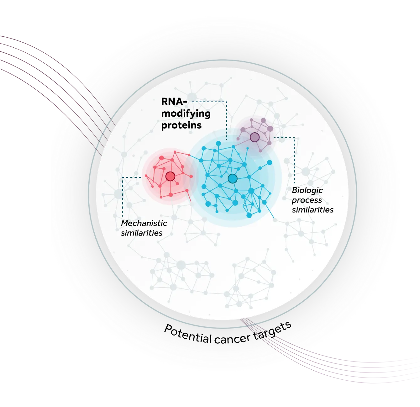 Abstract circular graphic with connected dots representing potential cancer targets. Blue shading within the circle represents RNA modifying protein targets. Pink and blue purple shading represent adjacent high-value targets with mechanistic and biologic process similarities.