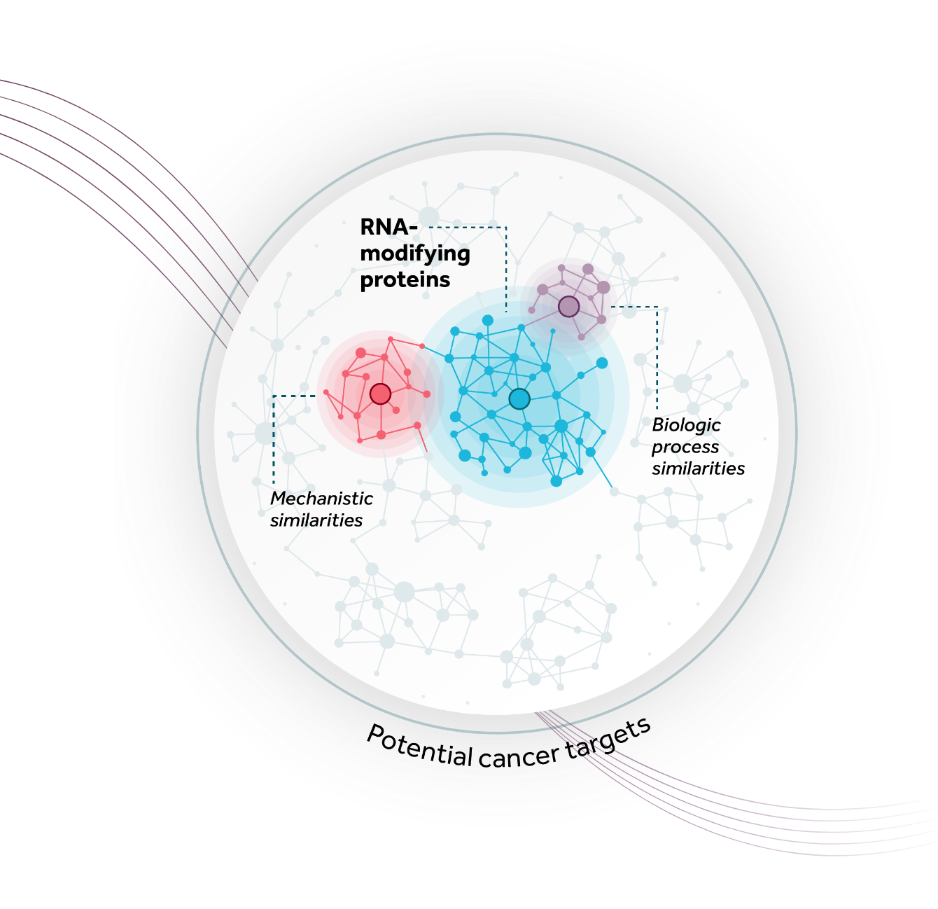 Abstract circular graphic with connected dots representing potential cancer targets. Blue shading within the circle represents RNA modifying protein targets. Pink and blue purple shading represent adjacent high-value targets with mechanistic and biologic process similarities.