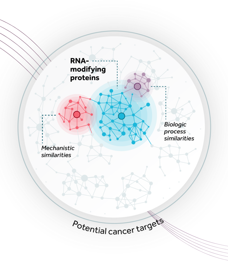 Abstract circular graphic with connected dots representing potential cancer targets. Blue shading within the circle represents RNA modifying protein targets. Pink and blue purple shading represent adjacent high-value targets with mechanistic and biologic process similarities.