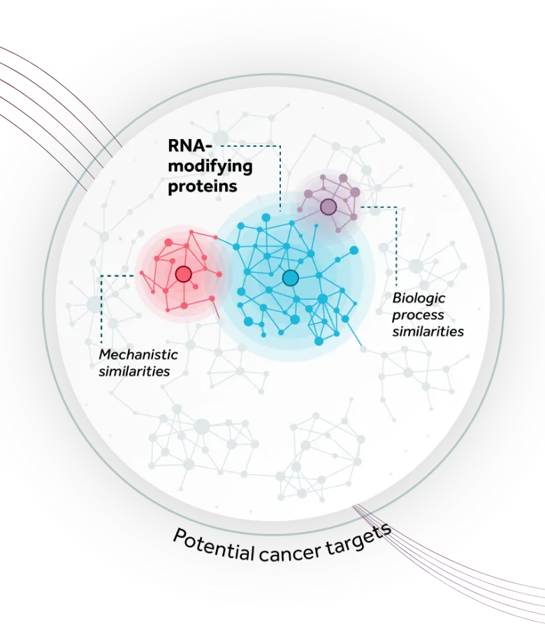 Abstract circular graphic with connected dots representing potential cancer targets. Blue shading within the circle represents RNA modifying protein targets. Pink and blue purple shading represent adjacent high-value targets with mechanistic and biologic process similarities.