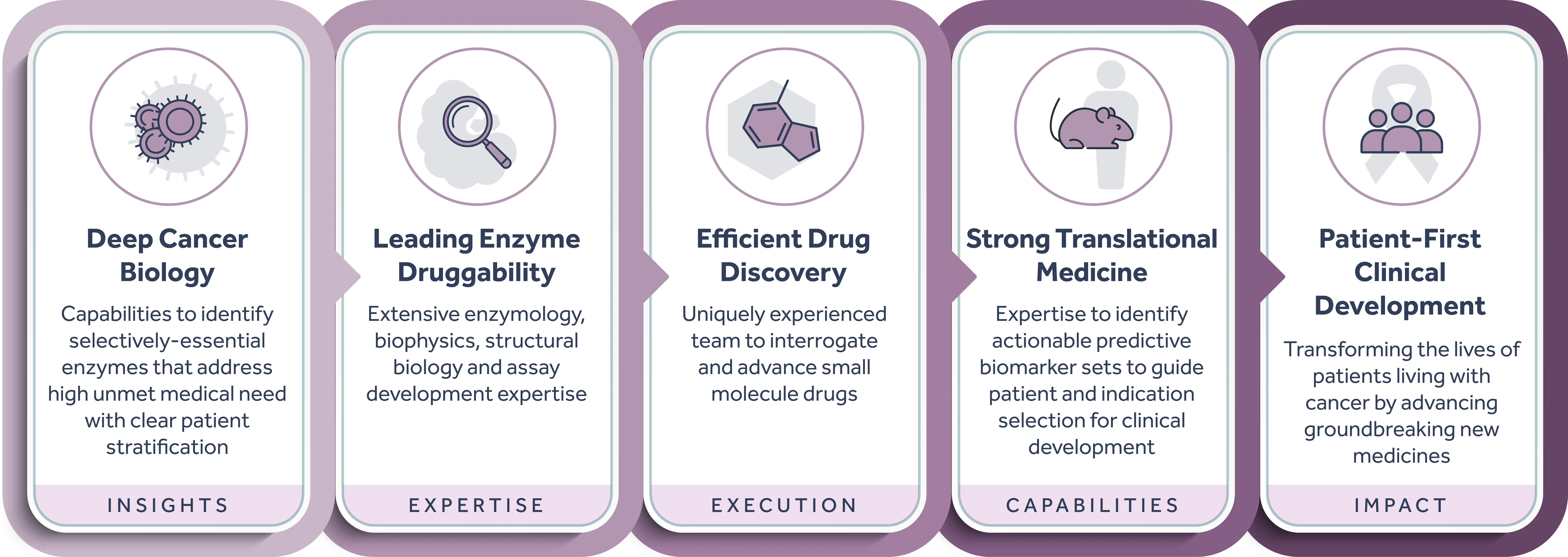 5-panel graphic outlining Accent integrated capabilities, including deep cancer biology, lead enzyme druggability, efficient drug discovery, strong translational medicine, and clinical development.