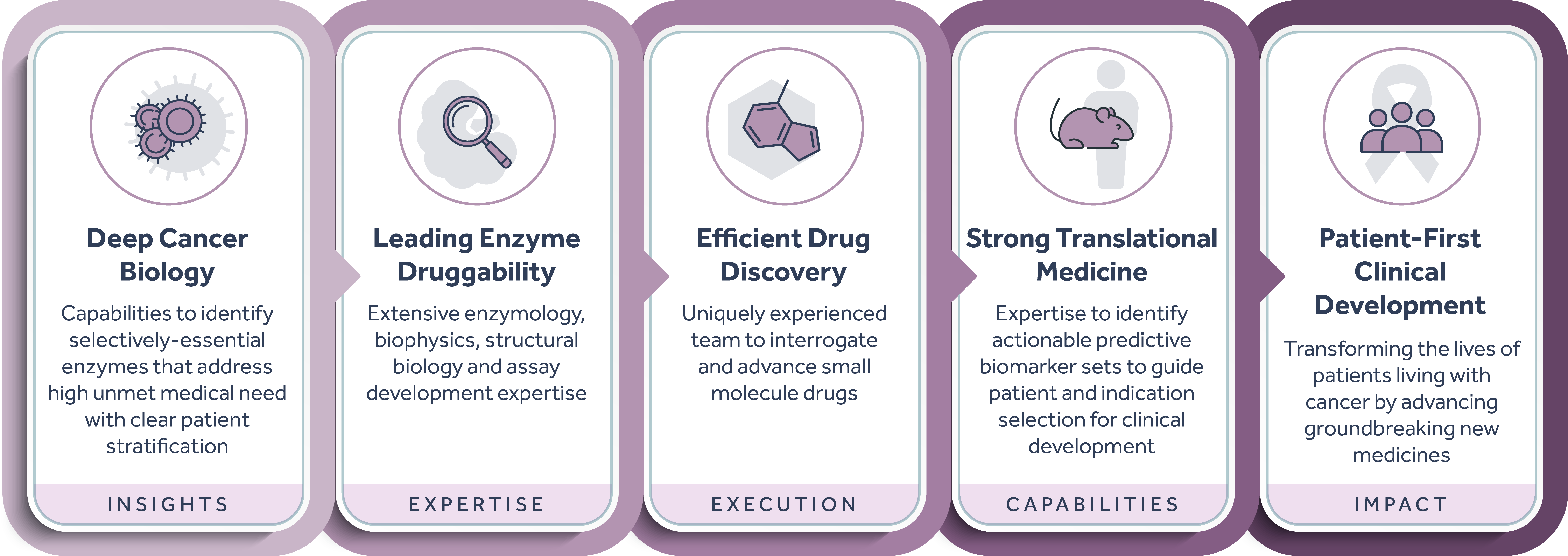 5-panel graphic outlining Accent integrated capabilities, including deep cancer biology, lead enzyme druggability, efficient drug discovery, strong translational medicine, and clinical development.