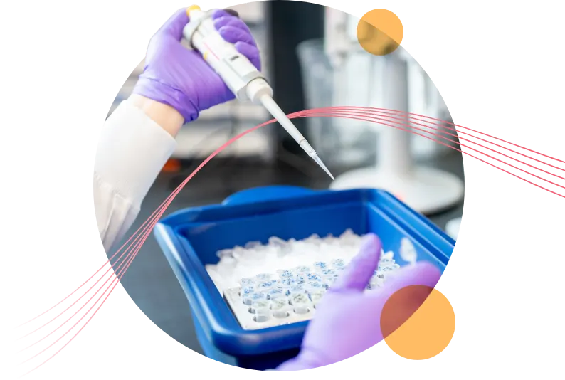 5 parallel pink lines winding through circle containing a photo of [X]. Two small orange circles surround the main photo.